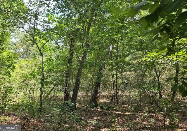19th image of Lot 1 June Ivey Rd, Bethlehem, GA 30620 | MLS# 10813184