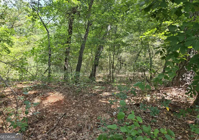 2nd image of Lot 1 June Ivey Rd, Bethlehem, GA 30620 | MLS# 10813184