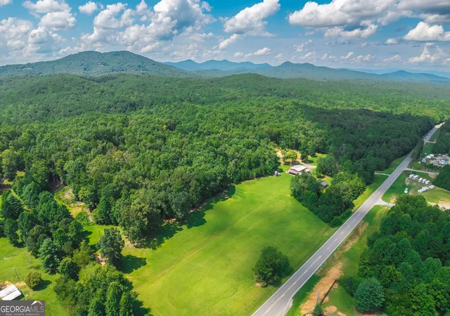 2nd image of 4011 Murphy Hwy, Mineral Bluff, GA 30559 | MLS# 10820713