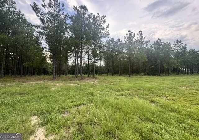 Photo 2 of Land for sale at 0 Dewey Thomas Rd, Dexter, GA 31019 | MLS# 10827009 | Listing updated on 2026-09-11