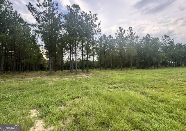 Photo 3 of Land for sale at 0 Dewey Thomas Rd, Dexter, GA 31019 | MLS# 10827009 | Listing updated on 2026-09-11