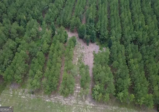 Photo 4 of Land for sale at 0 Dewey Thomas Rd, Dexter, GA 31019 | MLS# 10827009 | Listing updated on 2026-09-11