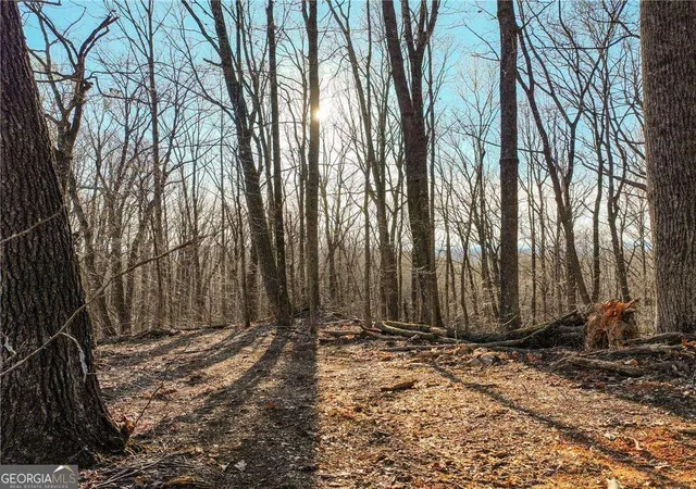 29th image of Lot 3 Mount Mincie Rd, Murrayville, GA 30564 | MLS# 10823121