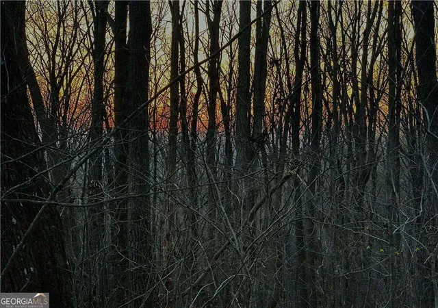 2nd image of Lot 3 Mount Mincie Rd, Murrayville, GA 30564 | MLS# 10823121
