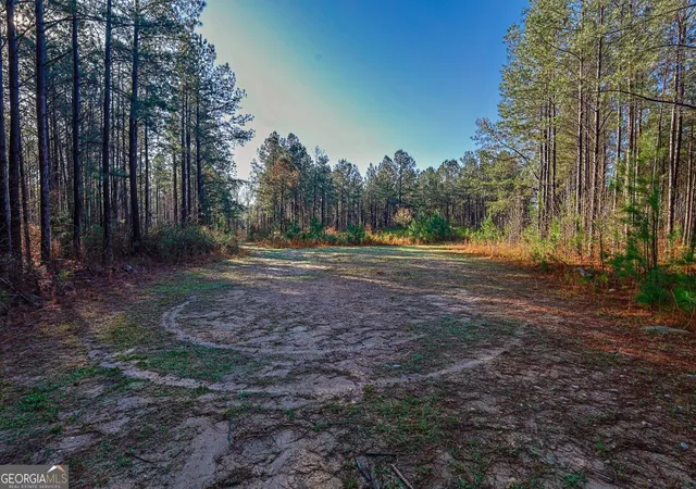 Homes for sale in Sparta, GA | 0 Hwy 22 Hwy N, Sparta, GA 31087 | MLS# 10726025
