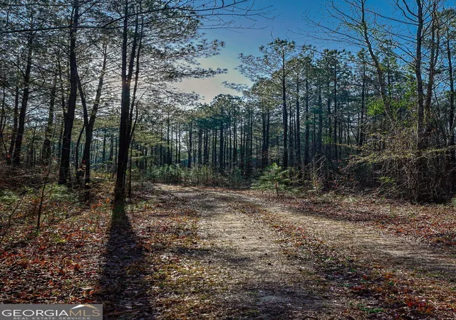Homes for sale in Sparta, GA | 0 Hwy 22 Hwy N, Sparta, GA 31087 | MLS# 10726025