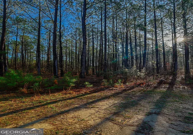 Homes for sale in Sparta, GA | 0 Hwy 22 Hwy N, Sparta, GA 31087 | MLS# 10726025