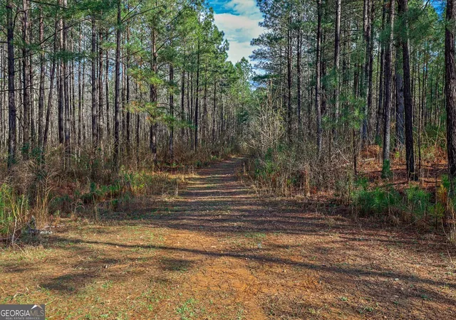 Homes for sale in Sparta, GA | 0 Hwy 22 Hwy N, Sparta, GA 31087 | MLS# 10726025
