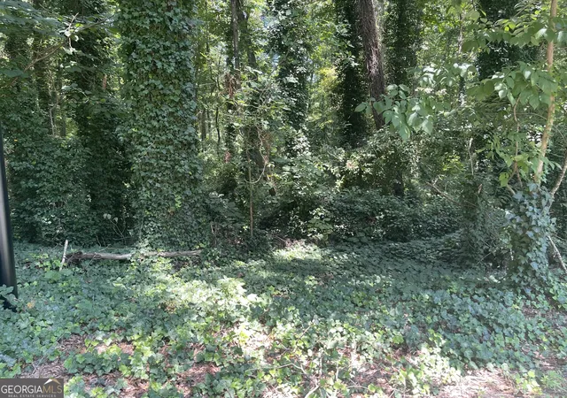 Photo 3 of Land for sale at 2970 Jodeco Ter, Jonesboro, GA 30236 | MLS# 10830076 | Listing updated on 2026-10-09