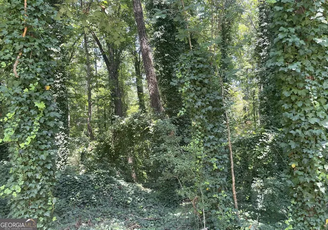 Photo 4 of Land for sale at 2970 Jodeco Ter, Jonesboro, GA 30236 | MLS# 10830076 | Listing updated on 2026-10-09