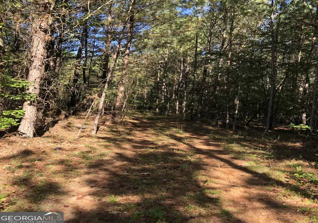 Photo 3 of Sale Pending at 0 Mccart Rd, Conyers, GA 30013 | MLS# 10200314 | Listing updated on 2026-06-12