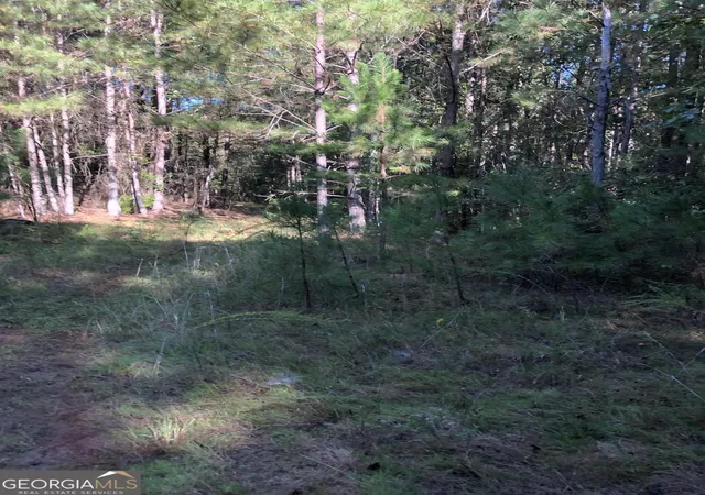 Photo 4 of Sale Pending at 0 Mccart Rd, Conyers, GA 30013 | MLS# 10200314 | Listing updated on 2026-06-12
