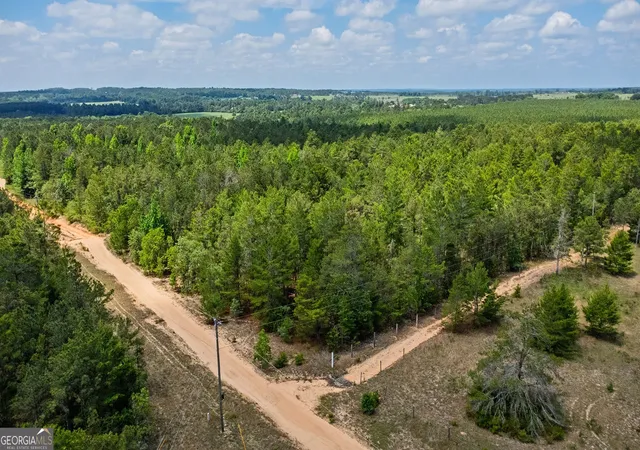 Homes for sale in Mauk, GA | 0 Allen Dr, Mauk, GA 31058 | MLS# 10768269