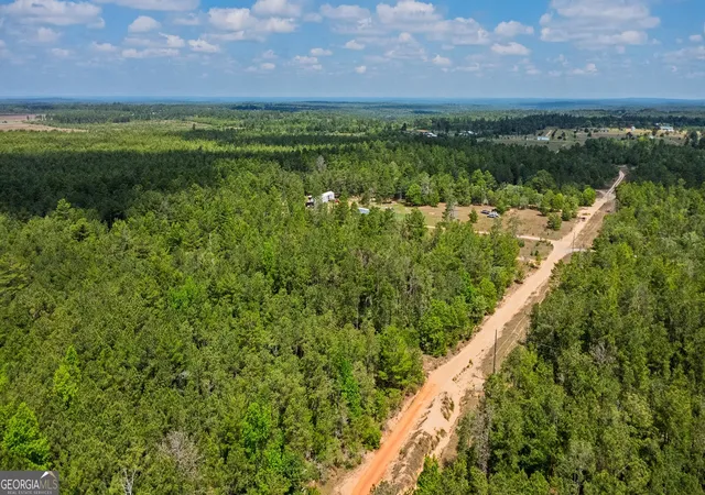 Homes for sale in Mauk, GA | 0 Allen Dr, Mauk, GA 31058 | MLS# 10768269