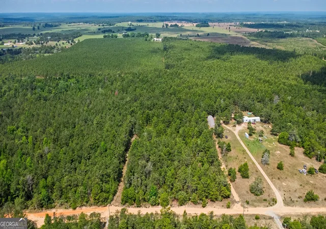 Homes for sale in Mauk, GA | 0 Allen Dr, Mauk, GA 31058 | MLS# 10768269