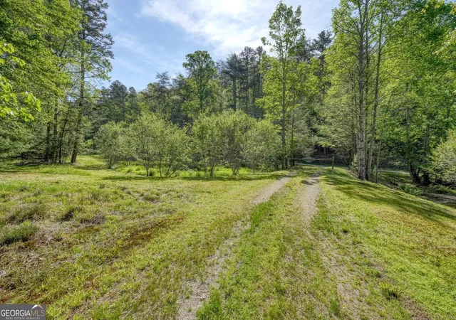 Photo 51 of Single family home for sale at 1493 Greasy Crk Rd, Brasstown, NC 28902 | MLS# 10836273 | Listing updated on 2026-08-31