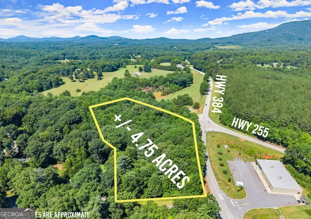 2nd image of 0 Hwy 384, Cleveland, GA 30528 | MLS# 10809967