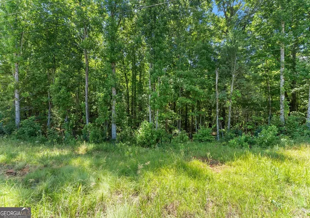 3rd image of 0 Hwy 384, Cleveland, GA 30528 | MLS# 10809967