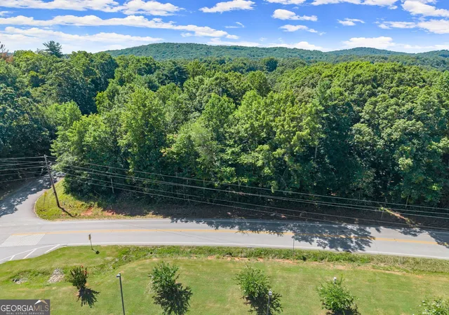 4th image of 0 Hwy 384, Cleveland, GA 30528 | MLS# 10809967