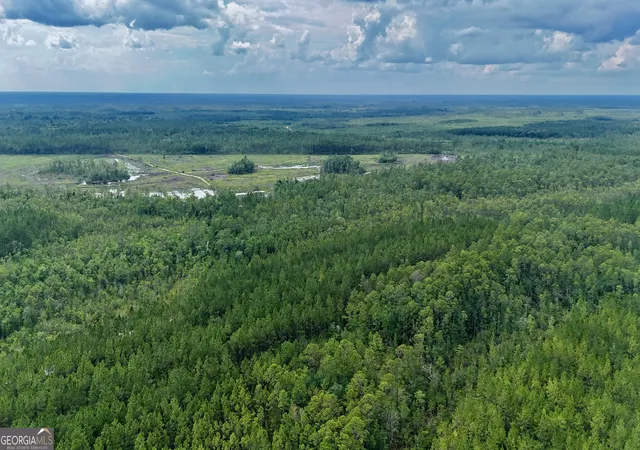 Photo 3 of Land for sale at 0 Off Dogwood Rd, Waynesville, GA 31566 | MLS# 10554999 | Listing updated on 2026-07-15
