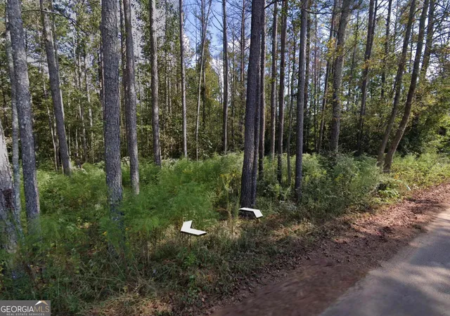 Photo 1 of Land for sale at 0 Holly Road #TRACT 3, Bowdon, GA 30108 | MLS# 10832735 | Listing updated on 2026-09-08