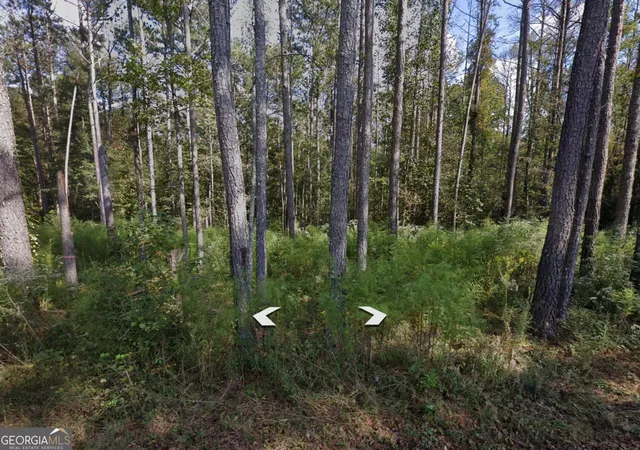 Photo 2 of Land for sale at 0 Holly Road #TRACT 3, Bowdon, GA 30108 | MLS# 10832735 | Listing updated on 2026-09-08