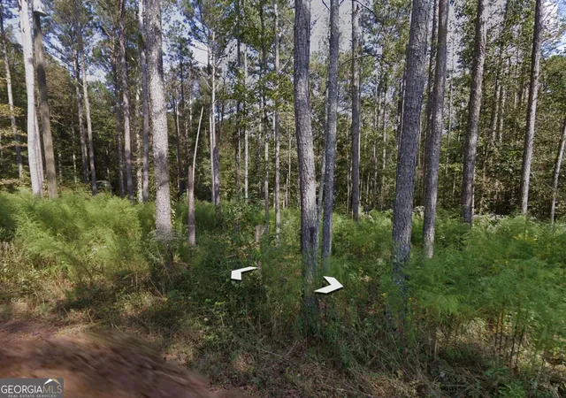 Photo 3 of Land for sale at 0 Holly Road #TRACT 3, Bowdon, GA 30108 | MLS# 10832735 | Listing updated on 2026-09-23