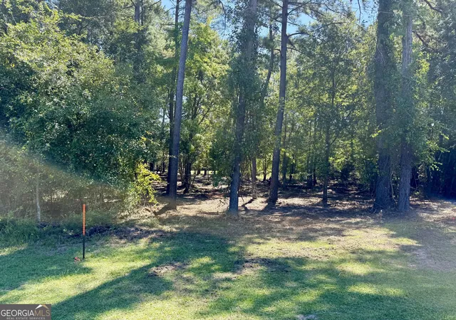 Homes for sale in Sylvania, GA | 0 Friendship Rd, Sylvania, GA 30467 | MLS# 10785698