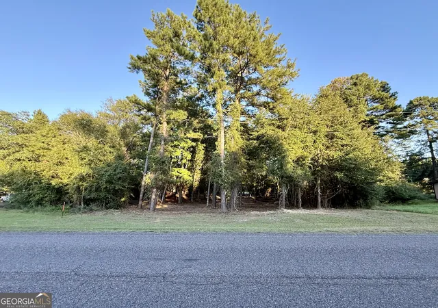 Homes for sale in Sylvania, GA | 0 Friendship Rd, Sylvania, GA 30467 | MLS# 10785698
