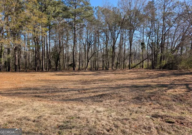 Homes for sale in Lagrange, GA | 123 Jones St, Lagrange, GA 30240 | MLS# 10796340