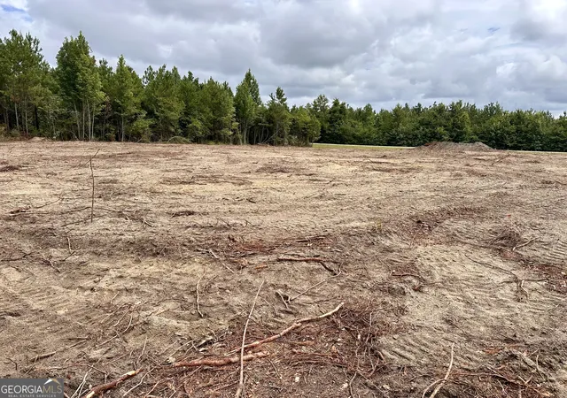 3rd image of Lot B Rock Springs Road, Dublin, GA 31021 | MLS# 10807845
