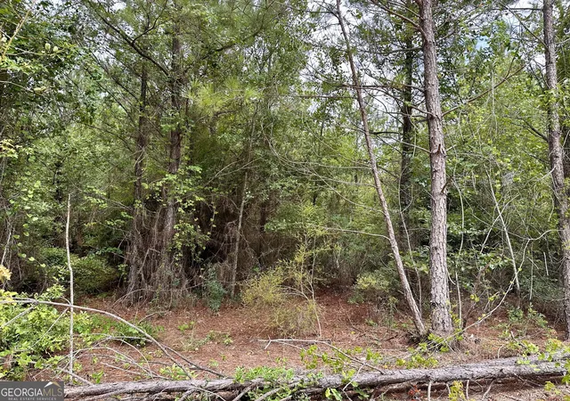 5th image of Lot B Rock Springs Road, Dublin, GA 31021 | MLS# 10807845