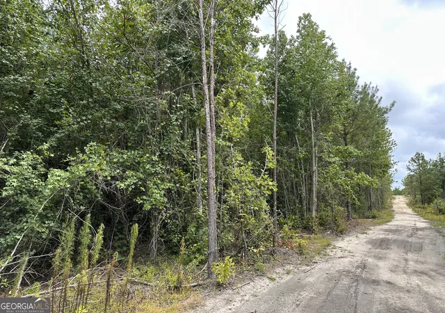 8th image of Lot B Rock Springs Road, Dublin, GA 31021 | MLS# 10807845