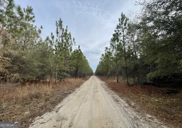 4th image of 5804 Newington Hwy, Sylvania, GA 30467 | MLS# 10633968