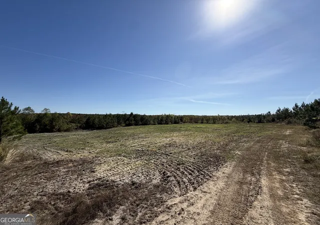 5th image of 5804 Newington Hwy, Sylvania, GA 30467 | MLS# 10633968