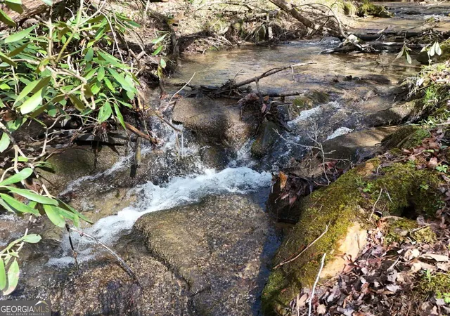 3rd image of Lot 44A Synacia Dr, Mineral Bluff, GA 30559 | MLS# 10713393