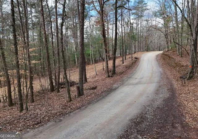 4th image of Lot 44A Synacia Dr, Mineral Bluff, GA 30559 | MLS# 10713393
