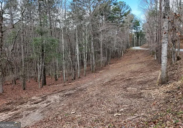 5th image of Lot 44A Synacia Dr, Mineral Bluff, GA 30559 | MLS# 10713393