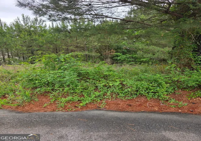 Photo 4 of Sale Pending at 6372 Sw Flat Rock Land Sw, Atlanta, GA 30349 | MLS# 10767210 | Listing updated on 2026-08-27