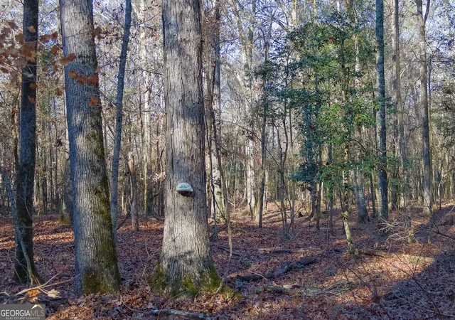 1st image of 557 Limestone Road, Cochran, GA 31014 | MLS# 10813346