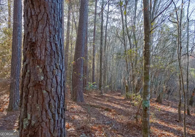 2nd image of 557 Limestone Road, Cochran, GA 31014 | MLS# 10813346