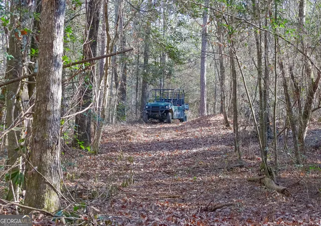3rd image of 557 Limestone Road, Cochran, GA 31014 | MLS# 10813346