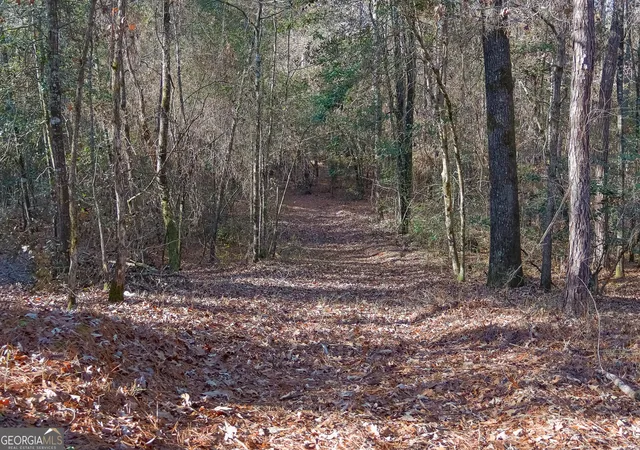 4th image of 557 Limestone Road, Cochran, GA 31014 | MLS# 10813346