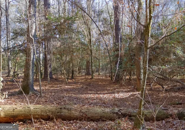 5th image of 557 Limestone Road, Cochran, GA 31014 | MLS# 10813346