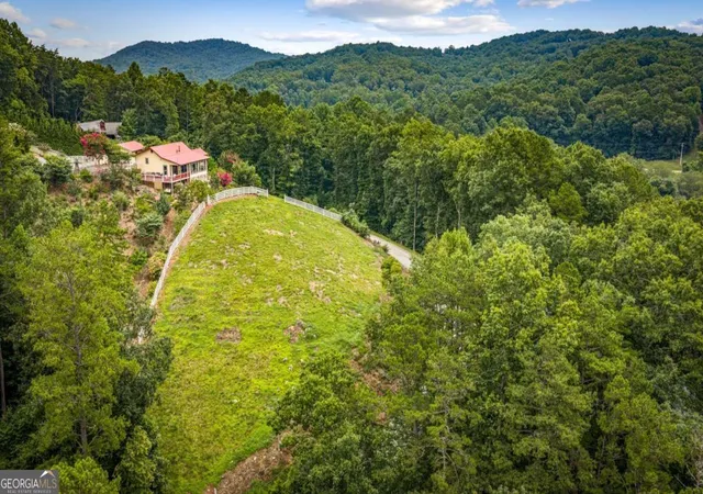 92nd image of 90 Fox Run #78, Blue Ridge, GA 30513 | MLS# 10819513