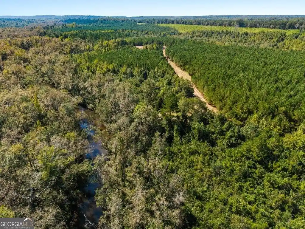 Photo 1 of Land for sale at 1 W State Route 90 Rd, Rupert, GA 31081 | MLS# 10876592 | Listing updated on 2026-10-22