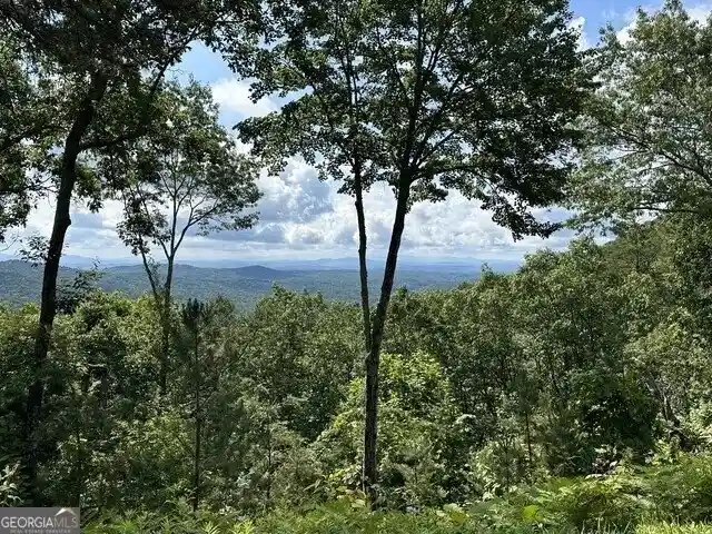 Photo 1 of Land for sale at Lot 46 Utana Blfs Trl, Ellijay, GA 30540 | MLS# 10856388 | Listing updated on 2026-10-15