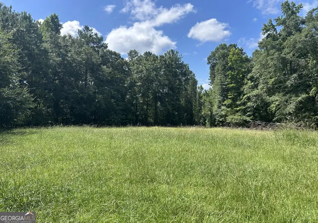 19th image of 134 Mauldin Rd, Thomaston, GA 30286 | MLS# 10806071