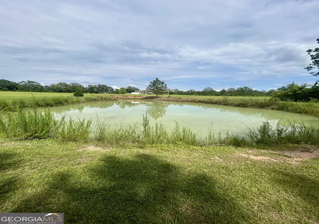 Photo 4 of Sale Pending at 3858 Sapps Lake Rdn/A #N/A, Enigma, GA 31749 | MLS# 10824322 | Listing updated on 2026-09-16
