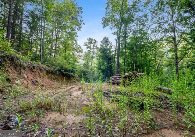 35th image of 1063 Rickman Airfield Rd, Clayton, GA 30525 | MLS# 10703290